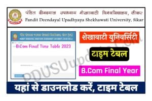 Shekhawati University B.Com final Year Time Table 2023