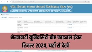 Shekhawati University BA Final Year Result 2024: शेखावाटी यूनिवर्सिटी बीए फाइनल ईयर रिजल्ट 2024