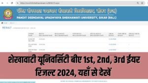 Shekhawati University BA Result 2024 | (PDUSU) शेखावाटी यूनिवर्सिटी बीए रिजल्ट 2024