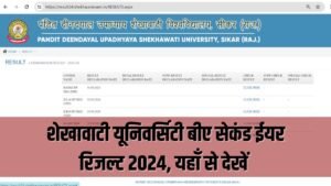 Shekhawati University BA 2nd Year Result 2024: शेखावाटी यूनिवर्सिटी बीए सेकंड ईयर रिजल्ट 2024