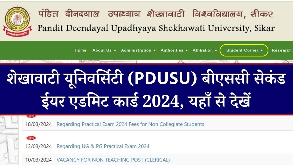 Shekhawati University BSC 2nd Year Admit Card 2024 | शेखावाटी यूनिवर्सिटी (PDUSU) बीएससीससी सेकंड ईयर एडमिट कार्ड 2024, यहाँ से देखें