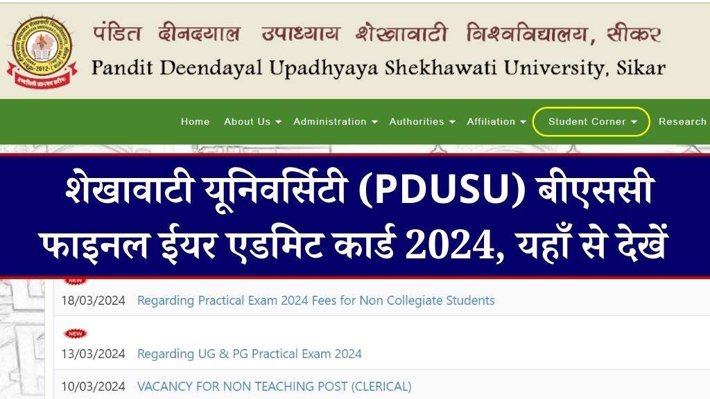 Shekhawati University BSC Final Year Admit Card 2024 | शेखावाटी यूनिवर्सिटी (PDUSU) बीएससी फाइनल ईयर एडमिट कार्ड 2024, यहाँ से देखें