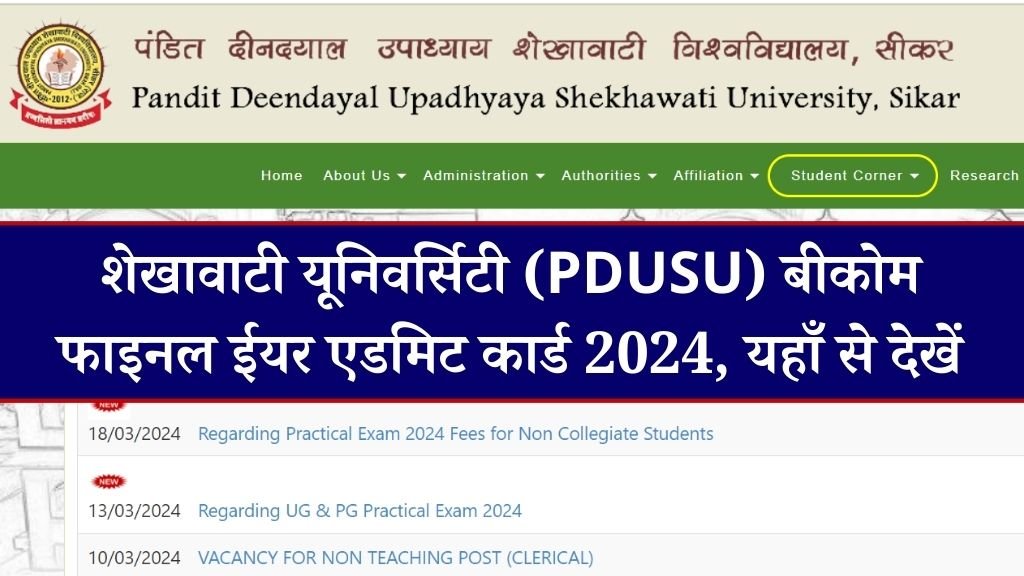 Shekhawati University B.COM Final Year Admit Card 2024 | शेखावाटी यूनिवर्सिटी (PDUSU) बीकोम फाइनल ईयर एडमिट कार्ड 2024, यहाँ से देखें