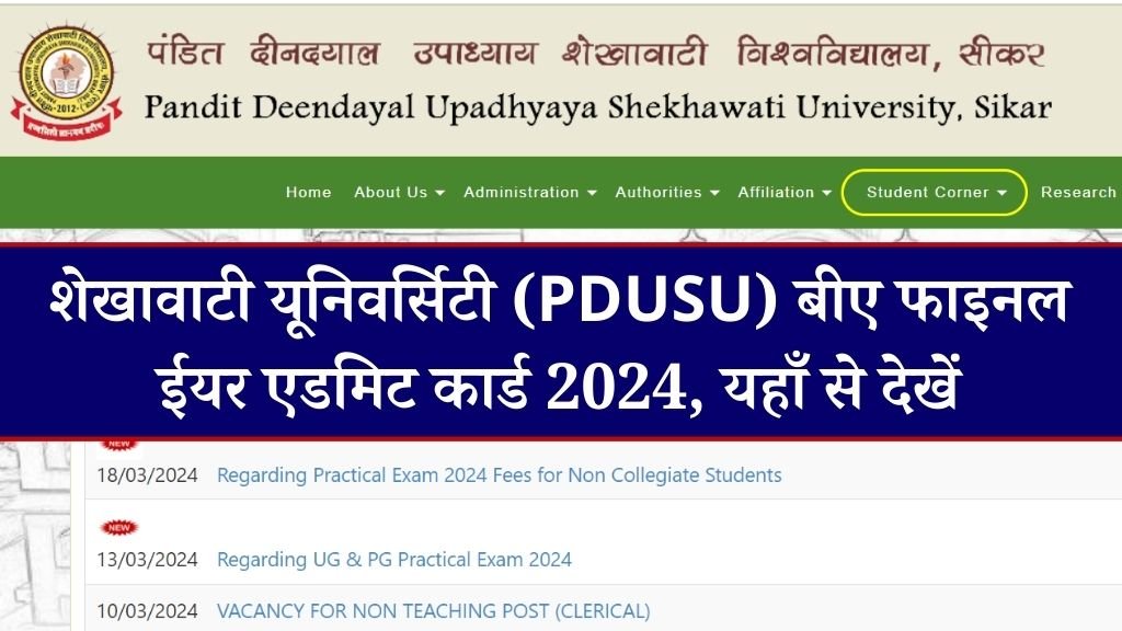 Shekhawati University BA Final Year Admit Card 2024 | शेखावाटी यूनिवर्सिटी (PDUSU) बीए फाइनल ईयर एडमिट कार्ड 2024, यहाँ से देखें